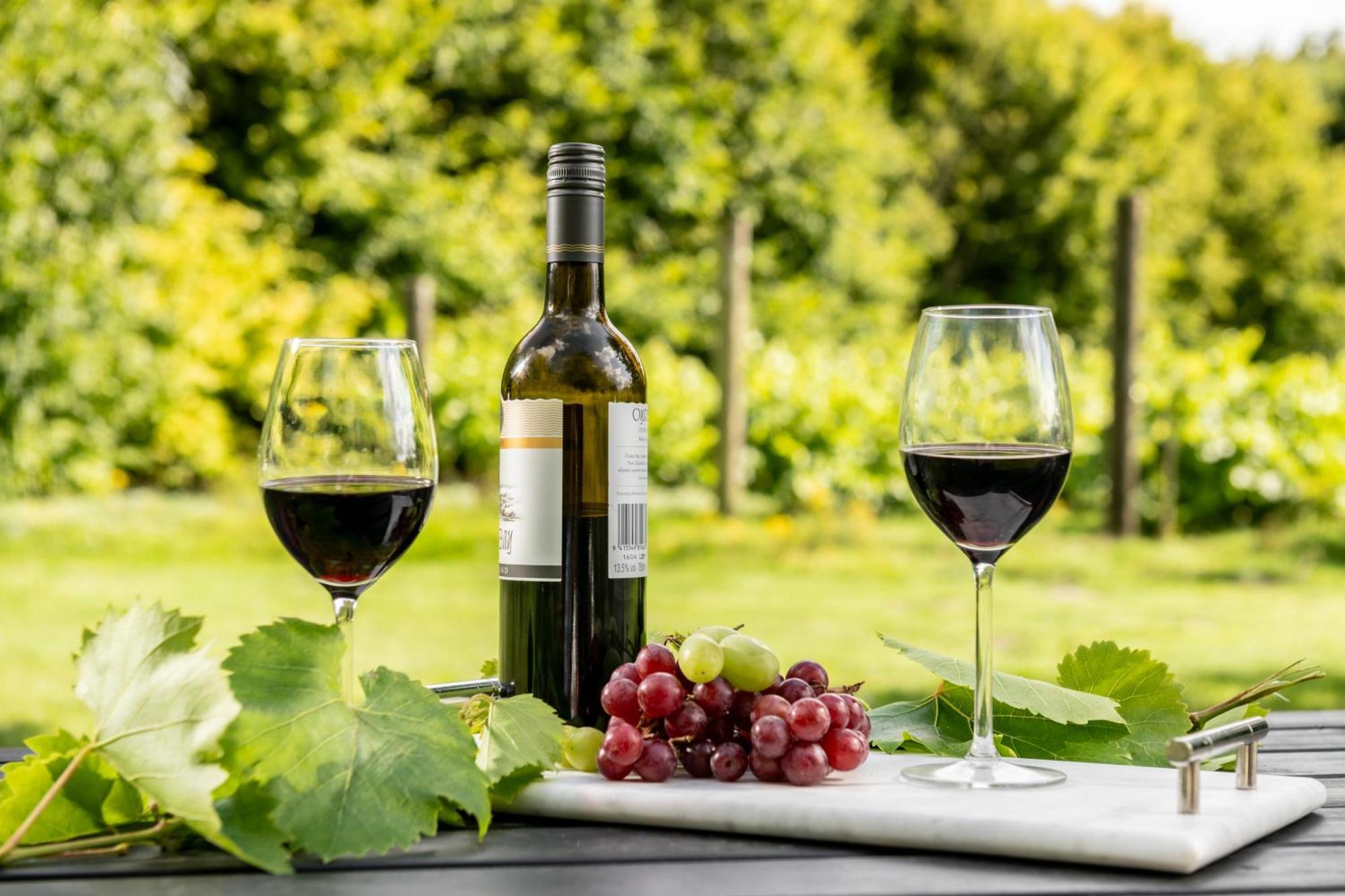 블랜퍼드포럼 Downwood Vineyard Manor In Idyllic Countryside 빌라 외부 사진