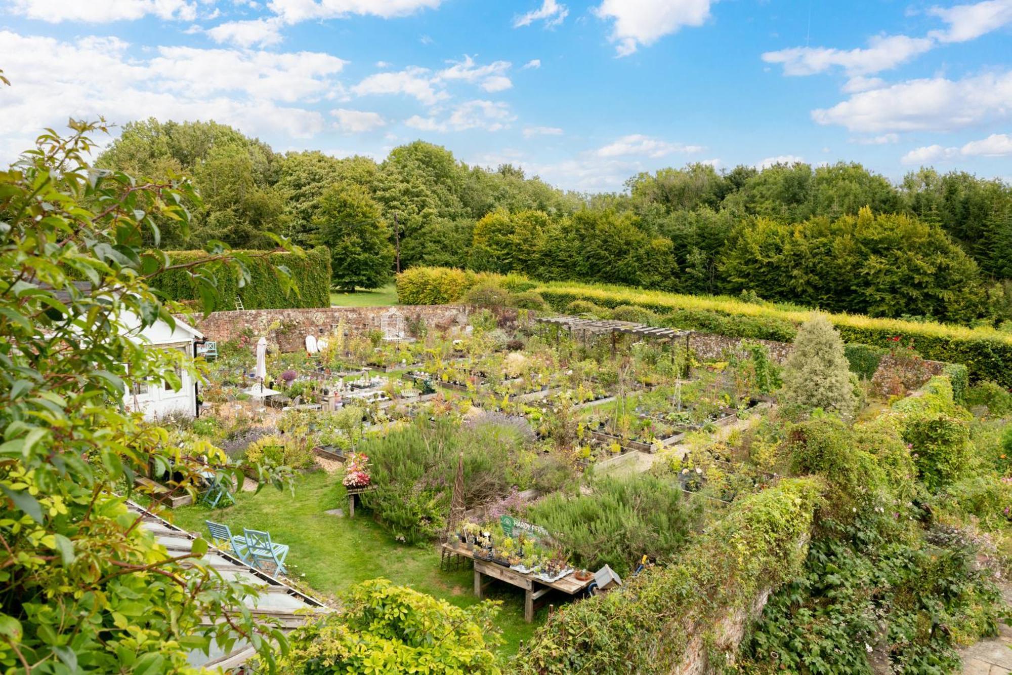 블랜퍼드포럼 Downwood Vineyard Manor In Idyllic Countryside 빌라 외부 사진