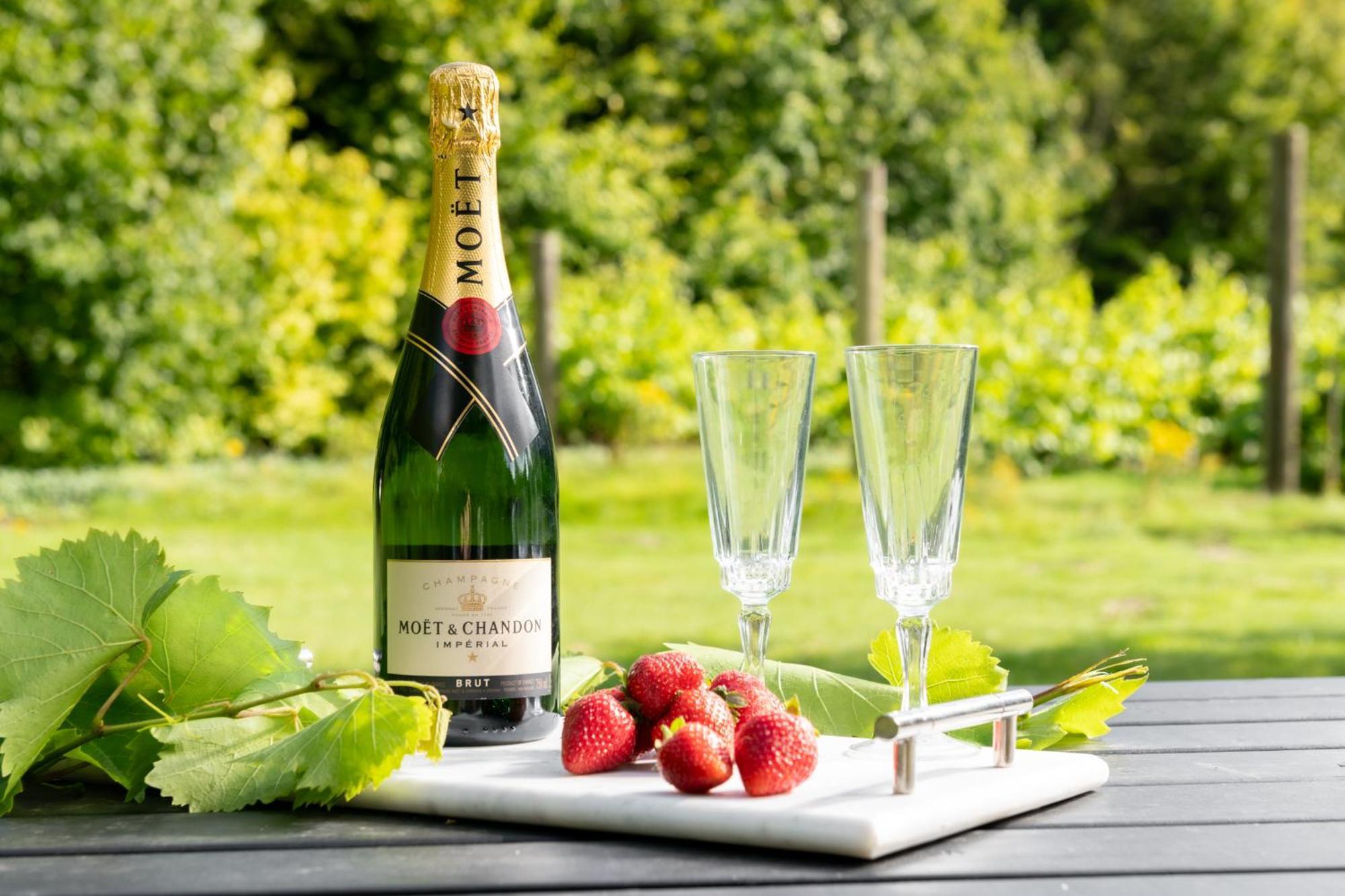 블랜퍼드포럼 Downwood Vineyard Manor In Idyllic Countryside 빌라 외부 사진